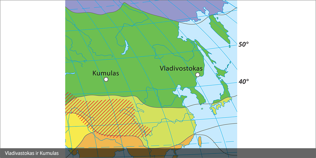 Vladivostokas ir Kumulas