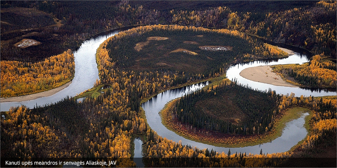 Kanuti upės meandros ir senvagės Aliaskoje, JAV