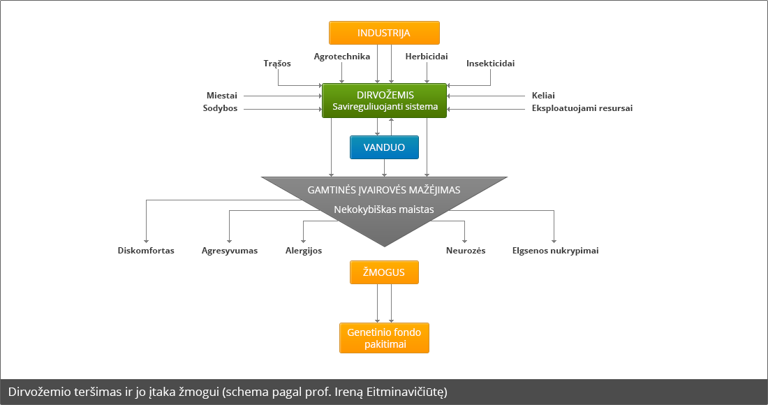 Dirvožemio teršimas ir jo įtaka žmogui (schema pagal prof. Ireną Eitminavičiūtę)